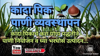 कांदा पीक पाणी व्यवस्थापन / kanda pik pani vevasthapan / #Anufarming