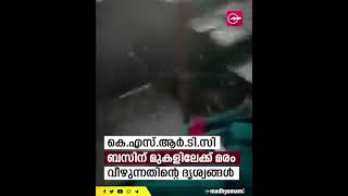 കെ.എസ്.ആർ.ടി.സി ബസിന് മുകളിലേക്ക് മരം വീഴുന്നതിന്റെ ദൃശ്യങ്ങൾ | KSRTC Bus | Heavy Rain