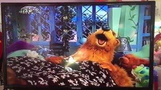 WATCH OUT!!!!! Bear's Gonna Sneeze!!!!!