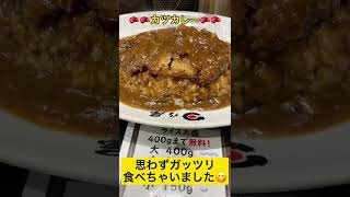 カツカレー 最高 #shorts #カレー #カレーライス #カツカレー #3150 #3150ポーズ #川崎 #日乃屋カレー