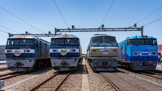 東京貨物ターミナル駅 大井機関区 50周年ふれあいフェスタ [4K] (東京都品川区) 2023/5/5