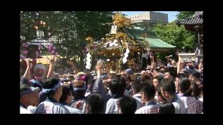 平成26年　浅草神社＜三社祭＞町内神輿連合渡御＝浅草公園町会