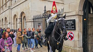 TOURISTS RUN AS TWINS HORSE HAS A MELTDOWN IN THE HAUNTED BOX at Horse Guards!