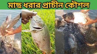 A Wonderful Technique of Ancient Fishing | প্রাচীন পদ্ধতিতে মাছ ধরার অসাধারণ কৌশল | Fishing Video