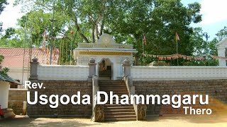 332.  The Vision in Buddhism - Fresno Dhamma Retreat 2023 (ii) – Rev. Usgoda Dhammagaru Thero