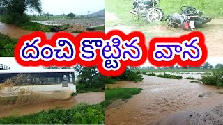 దంచి కొట్టిన వాన || my village 🌧☔ || telugu letest video|| gattuthumman village  || naapalletoor