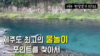 제주도 최고의 물놀이 포인트 I 제주한달살기 I 제주한달살기 ep.01