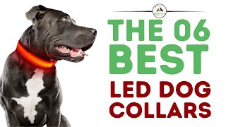The Best LED Dog Collars