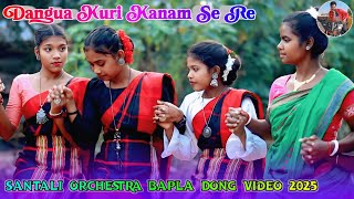 Dangua Kuri Kanam Se Re || Santali Orchestra Bapla Dong Video 2025 || Susanta Murmu Official