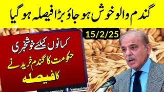 Wheat Price update/Gundam rate 2025/Wheat Support Price25 گندم کی امدادی قیمت فائنل اعلان اسمبلی خبر