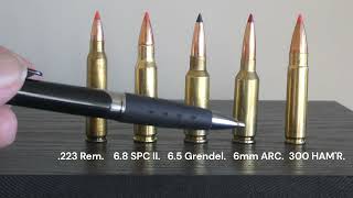 The Top 5 - AR-15 Cartridges, I Will Review