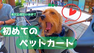 【ペットカートレビュー】初めてペットカートに乗ってお出かけした愛犬が可愛すぎた♡【SKISOPGO】