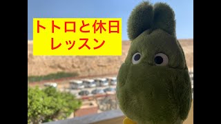 Egypt's Holiday | アラビア語レッスン！エジプトの週末はいつ？旅行のときは必ず週末の日は覚えよ！Ep 12