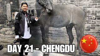 DAY 21 - Pretending to leave Chengdu for the 3rd time