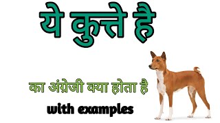 ये कुत्ते हैं को इंग्लिश में क्या कहते हैं | ye kutta Hai in english  | ye kutta Hai ki english