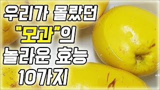 모과의 숨겨진 효능 효과 10가지, 모과를 먹으면 생기는 일