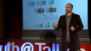 Overcoming aversions: Andrew Critch at TEDxYouth@Tallinn