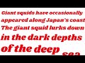 giant squid rarely seen sea off the coast of japan...