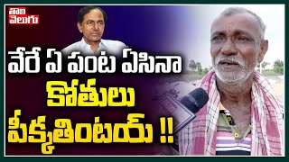 వేరే ఏ పంట ఏసినా కోతులు పీక్కతింటయ్ !! | Farmers Emotional Words | Tolivelugu TV