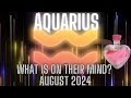 Aquarius ♒️ - This Miss You Even More During This Mercury Retrograde...