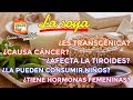 Soya ¿Transgénica? ¿Dañina? ¿Hormonas femeninas? ¿Afecta tiroides? ¿Cancér?- Cocina Vegan Fácil