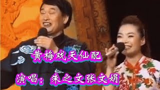 朱之文张文娟演唱《天仙配》选段，歌曲旋律优美，非常好听！【俩宝宝大王小丁】