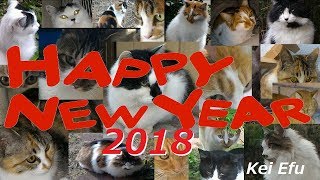 あけましておめでとうございます。今年もよろしくお願いいたします。KeiEfuの動画