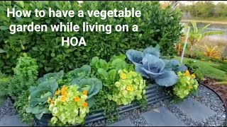 You can have a  Garden while living on a HOA