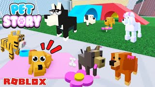 ROBLOX🐕寵物故事🐕我變成了小狗狗還被收養了🐕PET STORY【#羅密歐爸爸】#roblox #機械方塊