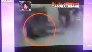 奇跡体験!アンビリバボー衝撃映像　　牛が暴走