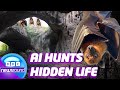 How AI is helping Scientists | Your Planet | News For Kids