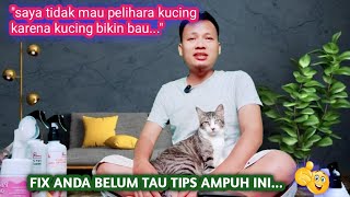 TIPS AMPUH❗Agar Rumah Terbebas Dari Aroma Yang diakibatkan Oleh Kotoran Kucing