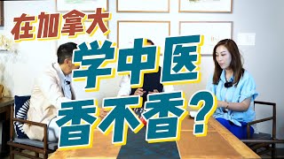 003在加拿大学中医香不香？