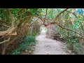 අසිරිමත් බැද්දගාන තෙත් බිම් උද්‍යානය beddagana wetland park