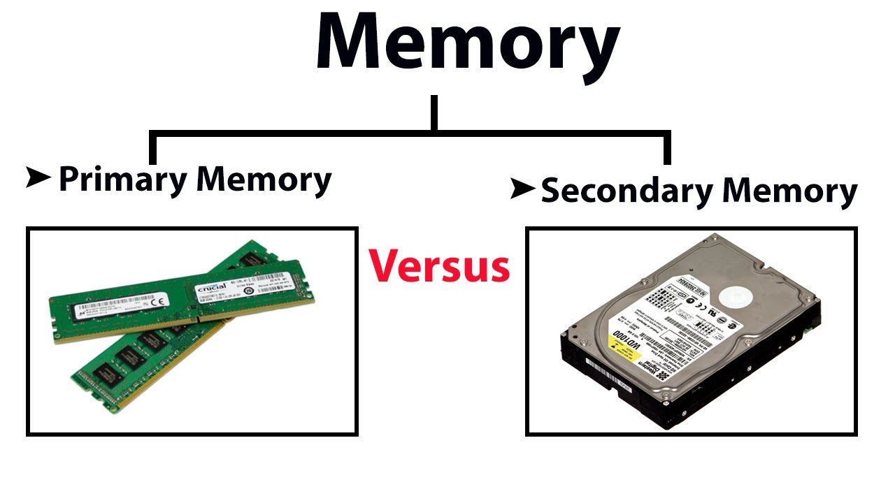 Computer Memory Primary And Secondary At Dominic Chumleigh Blog