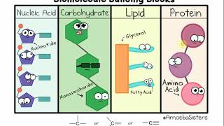 2113 Chapter 2 - Chemistry Part B