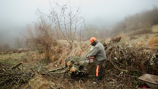 Clearing Dead Trees \u0026 Finishing the Chimney Demo (#66)