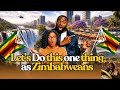 If we can do this one thing, We will all go Home 🇿🇼 from the diaspora - Real talk