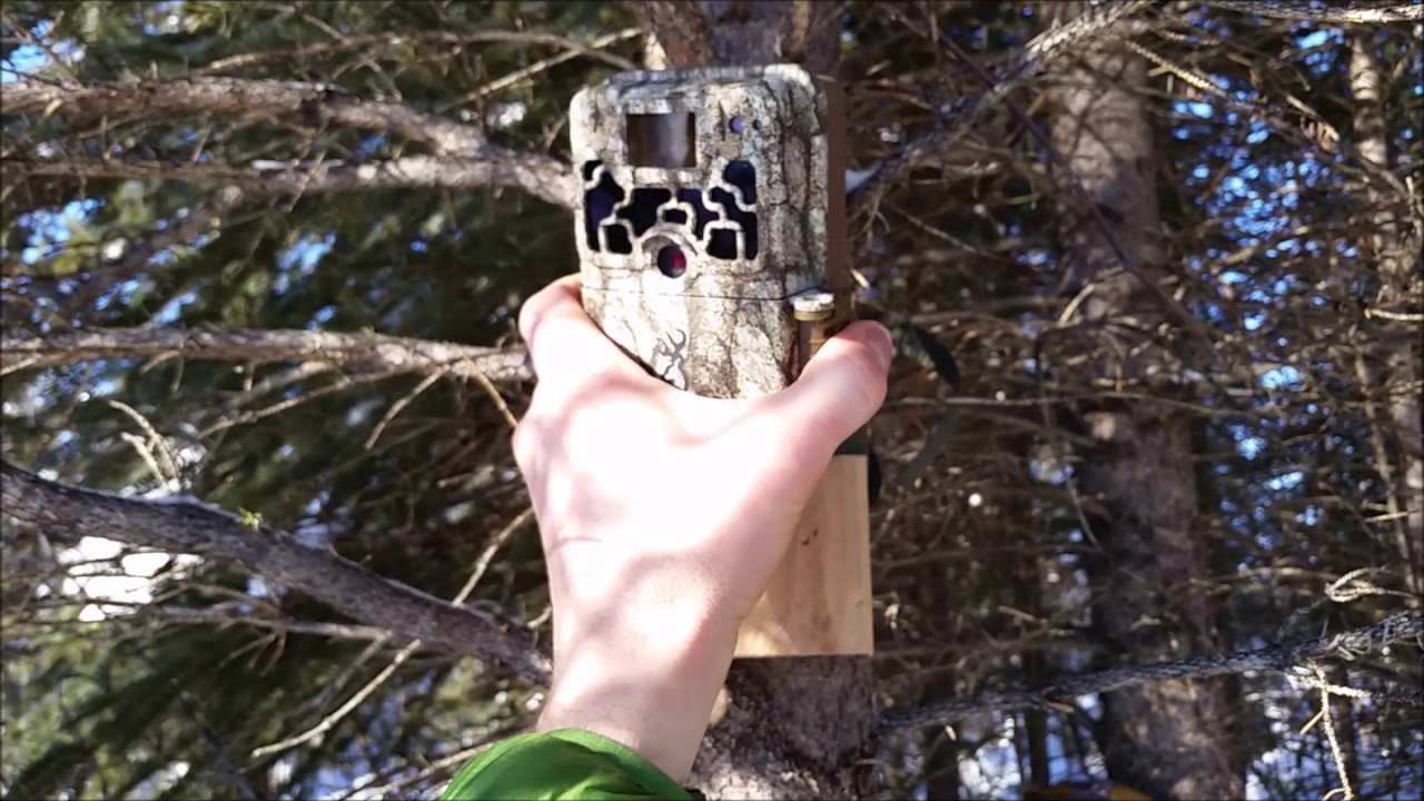 Trapping Alaska Youtube