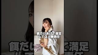 猫好きの彼女が怒った #shorts #カップル