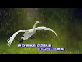 小雨 林玉英 alto sax 俊卿 薩克斯風演奏