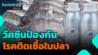 วัคซีนป้องกันโรคติดเชื้อในปลา | ไทยประดิษฐ์คิดเก่ง | วันใหม่วาไรตี้