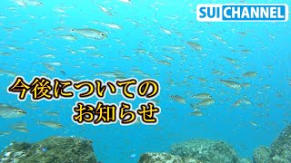 今後は辞めようと思う事と重要なお知らせ