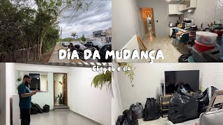 BreFlix: ORGANIZAÇÃO + DIA DA MUDANÇA 🚚