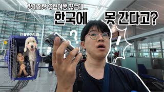 강아지랑 귀국하려다 대참사?! ✈️공항에서 멘붕 #강아지랑유럽 #강아지해외여행