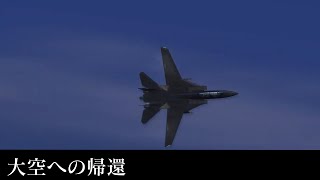 【ゆっくり茶番実況】エリーゼ、空を飛ぶってよ MISSION25【エースコンバット5】