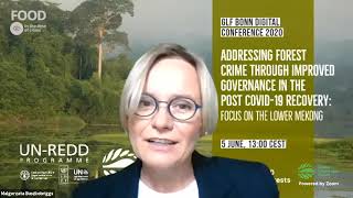 Addressing forest crime through improved governance in the post COVID-19 recovery