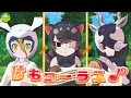 【けものフレンズ３】「高まれ！月光の夜想曲！！」３話「開催決定、第十五夜祭！」