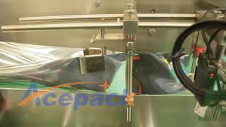 small powder packing machine from Shanghai Acepack packing machine company