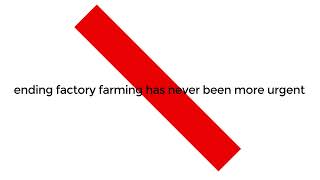 Why Factory Farming Must End